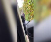 A lorry driver and a cyclist came face-to-face down a country lane with neither unable to go through – and a row breaking out.&#60;br/&#62;The motorist who wished to remain anonymous filmed the footage of her coming to loggerheads with a cyclist in Hampshire.&#60;br/&#62;The video shows the lorry driver asking the cyclist to reverse and &#92;