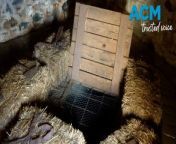An ingenious well was dug in 1832 to refrigerate dairy goods. The water seeping through its sides kept the air inside cool and moist, even during hot weather. Tim the Yowie Man investigated the treasures found within the heritage building.