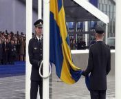 The Swedish flag is raised at the NATO headquarters in the Belgian capital Brussels, sealing the Nordic country&#39;s accession to the military alliance. On 7 March 2024, Sweden became the 32nd member of NATO in the shadow of Russia&#39;s invasion of Ukraine, turning the page on two centuries of non-alignment and capping two years of torturous diplomacy.