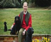 Prince Edward: King Charles marks younger brother’s 60th birthday by awarding him the Order of the Thistle from 8gp king