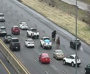 Escaped horses seen running through cars on Ohio highwaySource: Ohio Dept of Transportation
