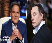 Billionaires Elon Musk and Mark Cuban are getting feisty on X.