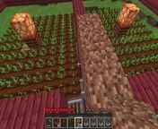 Minecraft Villager Auto Crop Farm Tutorial -Potato Wheat Carrot Beetroot