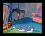 Tom And Jerry - 042 - Heavenly Puss (1949)S1940e42