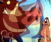 Timon and Pumbaa - Okay Bayou¿ from okay