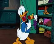 Donald Duck Trick or Treat Disney toon from toon savita
