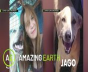 Aired (April 19, 2024): Hear out the touching story of Jonah Lynne, a dog rescuer who gets saved by one of her rescued dogs. Comment down below if you’ve experienced this once with your dogs.&#60;br/&#62;&#60;br/&#62;Join Kapuso Primetime King Dingdong Dantes as he showcases the unseen beauty of planet earth in GMA&#39;s newest infotainment program, &#39;Amazing Earth.&#39; Catch its episodes every Friday at 9:35 PM on GMA Network. #AmazingEarthGMA #AmazingEarthYear5