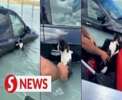 Dubai police rescued a cat from floodwaters on Wednesday (April 17) as the country was hit by a rare torrential storm.&#60;br/&#62;&#60;br/&#62;Authorities and communities across the United Arab Emirates started clearing debris on Wednesday after heavy rain subsided late on Tuesday (April 16), damaging homes and businesses and killing at least one person.&#60;br/&#62;&#60;br/&#62;WATCH MORE: https://thestartv.com/c/news&#60;br/&#62;SUBSCRIBE: https://cutt.ly/TheStar&#60;br/&#62;LIKE: https://fb.com/TheStarOnline
