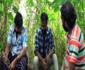 Thurathi Malayile Thiruthukal 2024 Malayalam full | A to-do from malayalam sex story video