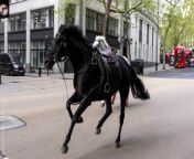 &#60;p&#62;Four people have been taken to hospital after being injured by runaway military horses as they tore through central London pursued by police, smashing into cars, taxis and a tourist bus.&#60;/p&#62;