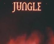 Coachella: Jungle Full Interview from girl fuck jungle