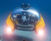An incredible new submarine looks like a UFO.&#60;br/&#62;&#60;br/&#62;The Triton 660/9 AVA has been launched as the ultimate vessel for deep sea sightseeing.&#60;br/&#62;&#60;br/&#62;Florida-based Triton say their craft features the world’s first submersible with a free-form acrylic pressure hull.&#60;br/&#62;&#60;br/&#62;It has been specifically designed for the cruise and hospitality sectors, with the ability to dive to 200m.&#60;br/&#62;&#60;br/&#62;Nine occupants – eight guests plus a pilot - are able to view undersea world through a large bubble-like window.&#60;br/&#62;&#60;br/&#62;Triton say the subs are able to be quickly reconfigured between dives, and can offer a variety of dive activities, including dining or cocktail dives, spa treatments, or even subsea gaming experiences.&#60;br/&#62;&#60;br/&#62;Following successful sea trials, DNV certification, and delivery to Valparaiso, Chile by Boeing 747 aircraft, Triton submarines have now been fully integrated on board Scenic Eclipse II cruise ship, operated by Scenic Luxury Cruises &amp; Tours.&#60;br/&#62;&#60;br/&#62;Patrick Lahey, President and Co-Founder, Triton Submarines, said: &#92;