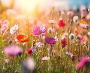 The flowers and foliage of spring are a reminder of new life. As Caroline Fischer reminds us, they also call us back to the resurrection of Christ from the dead and make Easter more joyful.