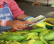 Mango Cutting - Thai Street Food #shortvideo from mango condom