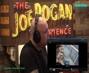 The Joe Rogan Experience Video - Episode latest update&#60;br/&#62;Colin Quinn is a stand-up comic, on-air personality, actor, and author of several books, among them &#92;