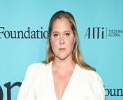 Amy Schumer and Jennifer Lawrence&#39;s long-awaited sister comedy is unlikely to ever come to fruition but they still want to work together.