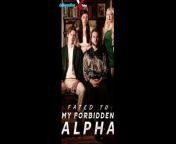 Fated To My Forbidden Alpha Full EPS MOVIE - dailymotion xtube