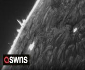 SWBRsun &#60;br/&#62;&#60;br/&#62;IT’S ALL SUN AND GAMES - Spectacular time lapses taken with a powerful telescope show the hypnotic flames on the surface of the SUN. &#60;br/&#62;&#60;br/&#62;Deddy Dayag, 39 from Israel captures this amazing footage using 2 super powerful telescopes. He films the sun’s surface over several hours in order to create mesmerising time lapse videos. &#60;br/&#62;&#60;br/&#62;Deddy uses a 152mm achromat refractor telescope, 200mm Schmidt Cassegrain telescope and an h-alpha 0.5 angstrom h-alpha filter on a tracking mount to capture sights impossible to see with the naked eye. &#60;br/&#62;&#60;br/&#62;The amazing videos show the flames on the sun’s surface almost dancing in a hypnotic fashion. &#60;br/&#62;&#60;br/&#62;Deddy said:&#60;br/&#62;&#60;br/&#62;“I capture the sun because it is the most interesting and fascinating object that is near enough to explore from earth.” &#60;br/&#62;&#60;br/&#62;“The sun, which is a star like all other stats in the universe, is constantly changing and we as humans living out our lives, don’t even notice it, most of the time we just think of it as a bright light in the sky.” &#60;br/&#62;&#60;br/&#62;“A few seconds of watching those videos and your entire view of it, changes.” &#60;br/&#62;&#60;br/&#62;“When I reviewed the footage for the first time I was blown away! Literally shouted from excitement.” &#60;br/&#62;&#60;br/&#62;“And now, after almost 2 years of imaging the sun I can still say that I get excited every-time I aim my telescope up there, because each time you don’t really know what to expect, each time is a surprise!” &#60;br/&#62;&#60;br/&#62;“I hope people will watch those videos and understand how small we are compared to our star, our sun (named Sol) holds 99.8% of the entire solar systems mass.“ &#60;br/&#62;&#60;br/&#62;“We are a grain of dust.” &#60;br/&#62;&#60;br/&#62;ENDS