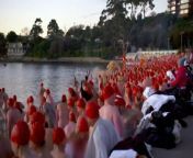 Hundreds have braved the chilly waters of the Derwent to celebrate the winter solstice for the Dark Mofo nude swim.