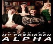 Fated to my forbidden alpha from angie khoury 18