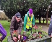 Up The Garden Bath install new planters at Central Park from alisha asghar bath video