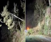 Rock landslide covers street with trees and debris in California Source: Caltrans District 1