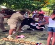 This woman was at the zoo, with her small child. While she was enjoying looking around, a monkey ended up jumping on her head. As a result, the woman went into defense mode. Struggling to get the monkey off, she accidentally knocked her baby over.