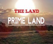 The Land has today launched Prime Land where journalist Samantha Townsend and Ray White Rural agent George Southwell talk all things agricultural real estate.