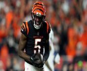 Will the Bengals Pay up for Tee Higgins or Risk a Holdout? from 3jap bengal