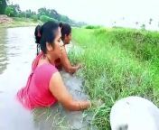 Amazing Net Fishing by Village Lady