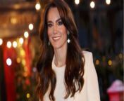 Kate Middleton photo scandal: Here are all the details that could have been modified from xvide hd photo