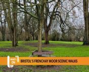Visit the national trusts unspoilt moor with grazing cattle and beautiful views. Located in the historic village of Frenchay, the 1.63 acres of land covering Frenchay Moor is located near Frenchay common and offers beautiful walks and views of the city.