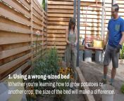 Tips and advice with raised garden beds this season.