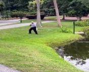 This man was running for his life, when the alligator came out of the water.