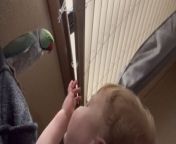 There&#39;s nothing that demonstrates good parenting better than witnessing children being incredibly gentle with small animals and birds, especially when they&#39;re on their own. The adorable lad featured in this video exemplifies such compassion. &#60;br/&#62;&#60;br/&#62;&#92;