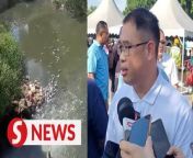 A faulty component at a sewage treatment plant is believed to be the cause of fish deaths at a lake in Kulai, says Ling Tian Soon.&#60;br/&#62;&#60;br/&#62;The Johor health and environment committee chairman said the state Environment Department went to the Taman Matahari residential area in Bandar Indahpura here at 9.40am on Tuesday (March 19) to investigate after receiving a complaint.&#60;br/&#62;&#60;br/&#62;Read more at https://tinyurl.com/y85wwavs&#60;br/&#62;&#60;br/&#62;WATCH MORE: https://thestartv.com/c/news&#60;br/&#62;SUBSCRIBE: https://cutt.ly/TheStar&#60;br/&#62;LIKE: https://fb.com/TheStarOnline&#60;br/&#62;