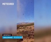 These impressive images were recorded a few hours ago next to Route 66, near the town of Kingman. This phenomenon is not to be confused with a tornado.