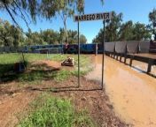 Flood levels are easing in the south-west Queensland town of Charleville after peaking over the weekend. The flood levee gates that were closed to protect the town have just been reopened.