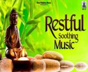 &#60;br/&#62;&#60;br/&#62; Track information:&#60;br/&#62;Title: Restful Soothing Music&#60;br/&#62;Composer/Music: Ashish Ahujha &#60;br/&#62;Lable: Ambey &#60;br/&#62;ARMS-146-15/RMS-29/NA&#60;br/&#62;&#60;br/&#62;Start your day with &#92;