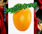 Natural fruit beautiful Orange &#60;br/&#62;#orenge #orengeslice #naturalfruit #orengeplant #meharzari13&#60;br/&#62;Fresh Oranges: A Burst of Sunshine in Every Bite&#60;br/&#62;&#60;br/&#62;Oranges, with their vibrant hue and tangy sweetness, are a beloved fruit that never fails to brighten up our day. Whether enjoyed on their own, juiced for a refreshing drink, or incorporated into a variety of dishes, fresh oranges are a versatile and delicious addition to any meal.&#60;br/&#62;&#60;br/&#62;One of the most appealing aspects of fresh oranges is their juiciness. With each bite, you are treated to a burst of flavorful juice that is as invigorating as it is delicious. This natural sweetness is complemented by a hint of tartness, creating a well-balanced flavor profile that is truly satisfying.&#60;br/&#62;&#60;br/&#62;But oranges are not just a treat for the taste buds – they also offer a plethora of health benefits. Packed with vitamin C, oranges are known for their immune-boosting properties, helping to ward off colds and flu. They are also a good source of fiber, which is essential for digestive health, as well as a range of other vitamins and minerals that support overall well-being.&#60;br/&#62;&#60;br/&#62;In addition to being nutritious, fresh oranges are incredibly versatile in the kitchen. From salads to desserts, savory dishes to cocktails, there are countless ways to incorporate oranges into your cooking. Their bright flavor can add a zesty kick to marinades and dressings, while their natural sweetness can balance out the richness of savory dishes. And let&#39;s not forget the classic combination of orange and chocolate – a match made in culinary heaven.&#60;br/&#62;&#60;br/&#62;When it comes to enjoying fresh oranges, the possibilities are endless. Sliced into a fruit salad, zested over a seafood dish, or simply peeled and eaten on a sunny day, each bite of an orange is like a ray of sunshine in your mouth. So next time you reach for a snack, consider indulging in the simple pleasure of a fresh orange – it&#39;s a small delight that will surely brighten your day.&#60;br/&#62;&#60;br/&#62;&#60;br/&#62;#arynews&#60;br/&#62;#urdupoint&#60;br/&#62;#abbtak&#60;br/&#62;#digitalentertainmentworld&#60;br/&#62;&#60;br/&#62;@meharzari13#meharzari13