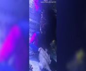 Disappointing video of Charlotte the pregnant virgin stingray from carli charlotte