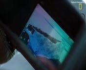 Incredible new footage has revealed the nail-biting moment hundreds of baby penguins jumped off a 50ft ice cliff in Antarctica. &#60;br/&#62;&#60;br/&#62;A National Geographic film crew was visiting Atka Bay on the Ekstrom Ice Shelf, when they spotted approximately 700 emperor penguin chicks gathering at the edge of a cliff. &#60;br/&#62;&#60;br/&#62;To their amazement, the chicks began to leap from the summit, before smashing into the icy ocean waters below. &#60;br/&#62;&#60;br/&#62;Thankfully, the chicks emerged from the stunt unscathed. &#60;br/&#62;&#60;br/&#62;&#39;This spectacular, heart-stopping moment has been witnessed by scientists before, but this is the first time the rare behavior has been filmed for television,&#39; National Geographic explained. &#60;br/&#62;&#60;br/&#62;Antarctica is home to 66 known Emperor penguin colonies, who usually breed and raise their chicks in the winter. &#60;br/&#62;&#60;br/&#62;Every January, when the chicks are around five months old, they undergo a process known as fledging. &#60;br/&#62;&#60;br/&#62;During this process, the chicks lose their baby feathers and leave their colony for the first time, travelling to the ocean to take their first swim. &#60;br/&#62;&#60;br/&#62;Surprisingly, this swimming lesson takes place without the supervision of any adult penguins. &#60;br/&#62;&#60;br/&#62;&#39;This is when they are essentially learning how to swim,&#39; said Sara Labrousse, a researcher at the Woods Hole Oceanographic Institution. &#60;br/&#62;&#60;br/&#62;&#39;That&#39;s not something that their parents teach them.&#60;br/&#62;&#60;br/&#62;&#39;When they first go in the water, they are very awkward and unsure of themselves. They are not the fast and graceful swimmers their parents are.&#39; &#60;br/&#62;&#60;br/&#62;