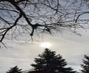 Someone captured this stunning time-lapse video of a solar eclipse in Brecksville, Ohio. The breathtaking transition from light to dark and back again was captured perfectly.