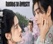 Blossoms in Adversity - Episode 23 (EngSub)