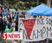Several dozen students at the University of California Los Angeles (UCLA) joined the nationwide Gaza protest encampment movement on Thursday (April 25) to demand the University divest from corporations they say “profit” from the Israel-Hamas war and call for an immediate cease-fire.&#60;br/&#62;&#60;br/&#62;WATCH MORE: https://thestartv.com/c/news&#60;br/&#62;SUBSCRIBE: https://cutt.ly/TheStar&#60;br/&#62;LIKE: https://fb.com/TheStarOnline