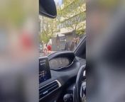 Two horses have been spotted bolting along streets in central London, with one appearing to be covered in blood.The two animals, which both had saddles on, were spotted racing down one street on Wednesday morning.In one clip the pair were seen charging down the road followed by an unmarked police car.One soldier has been injured in the incident after a spooked horse hit a number of vehicles, the Telegraph reports.