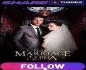 flash marriage with my alpha PART 1 from xxx sex video ka pakistani and salman khan sex hot xxx photos