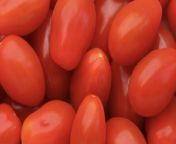 8 Tips for Growing Cherry Tomato Plants That Will Thrive All Season from cherry dana