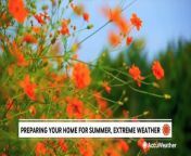 Paul Hope with Consumer Reports shares some best practices for getting your home summer-ready ahead of any extreme weather.