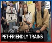 Taipei metro runs special pet-friendly trains&#60;br/&#62;&#60;br/&#62;On March 31, 2024, Taipei&#39;s metro allowed pets to roam freely instead of being confined to strollers, sparking hope among pet owners for a more pet-friendly transportation policy.&#60;br/&#62;&#60;br/&#62;Video by AFP&#60;br/&#62;&#60;br/&#62;Subscribe to The Manila Times Channel - https://tmt.ph/YTSubscribe &#60;br/&#62; &#60;br/&#62;Visit our website at https://www.manilatimes.net &#60;br/&#62;&#60;br/&#62;Follow us: &#60;br/&#62;Facebook - https://tmt.ph/facebook &#60;br/&#62;Instagram - https://tmt.ph/instagram &#60;br/&#62;Twitter - https://tmt.ph/twitter &#60;br/&#62;DailyMotion - https://tmt.ph/dailymotion &#60;br/&#62; &#60;br/&#62;Subscribe to our Digital Edition - https://tmt.ph/digital &#60;br/&#62; &#60;br/&#62;Check out our Podcasts: &#60;br/&#62;Spotify - https://tmt.ph/spotify &#60;br/&#62;Apple Podcasts - https://tmt.ph/applepodcasts &#60;br/&#62;Amazon Music - https://tmt.ph/amazonmusic &#60;br/&#62;Deezer: https://tmt.ph/deezer &#60;br/&#62;Stitcher: https://tmt.ph/stitcher&#60;br/&#62;Tune In: https://tmt.ph/tunein&#60;br/&#62; &#60;br/&#62;#TheManilaTimes&#60;br/&#62;#tmtnews &#60;br/&#62;#pettrain &#60;br/&#62;#taipei &#60;br/&#62;#taipeimetro